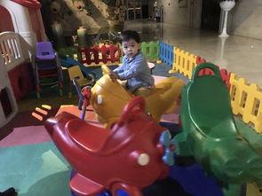 科目三吃瓜小熊,吃瓜小熊的驾考之旅